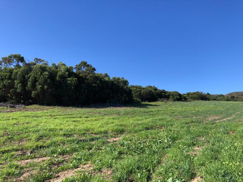 0 Bedroom Property for Sale in Baardskeerdersbos Western Cape